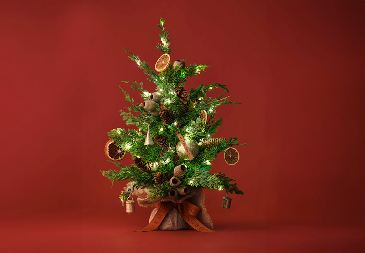 자연의 온기를 담은 홀리데이 트리